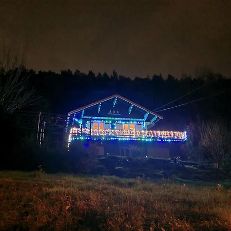 Le Chalet Des Amis Lägenhet Aurec-Sur-Loire Exteriör bild